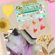 ヒメ日記 2025/03/14 21:00 投稿 熟女 かすみ ハナミズキ