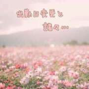 ヒメ日記 2025/03/17 12:44 投稿 熟女 かすみ ハナミズキ