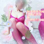 ヒメ日記 2025/03/20 09:52 投稿 熟女 かすみ ハナミズキ