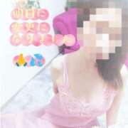 ヒメ日記 2025/03/25 13:04 投稿 熟女 かすみ ハナミズキ