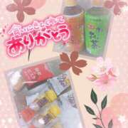 ヒメ日記 2025/04/05 23:04 投稿 熟女 かすみ ハナミズキ