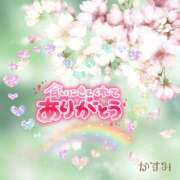 ヒメ日記 2025/04/09 01:54 投稿 熟女 かすみ ハナミズキ