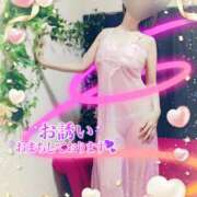 ヒメ日記 2025/04/12 09:40 投稿 熟女 かすみ ハナミズキ