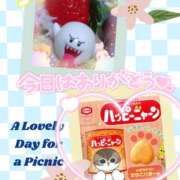 ヒメ日記 2025/04/26 22:14 投稿 熟女 かすみ ハナミズキ