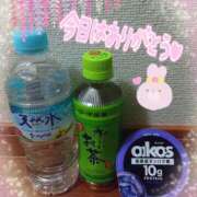 ヒメ日記 2025/05/14 03:08 投稿 熟女 かすみ ハナミズキ