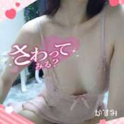 ヒメ日記 2025/05/16 12:26 投稿 熟女 かすみ ハナミズキ