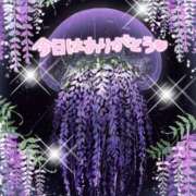 ヒメ日記 2025/05/17 03:28 投稿 熟女 かすみ ハナミズキ