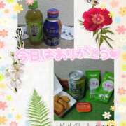 ヒメ日記 2025/05/24 02:20 投稿 熟女 かすみ ハナミズキ