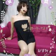 ヒメ日記 2025/06/05 13:04 投稿 熟女 かすみ ハナミズキ