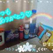 ヒメ日記 2025/06/06 01:30 投稿 熟女 かすみ ハナミズキ