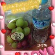 ヒメ日記 2025/06/13 02:28 投稿 熟女 かすみ ハナミズキ