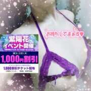 ヒメ日記 2025/06/19 12:18 投稿 熟女 かすみ ハナミズキ