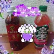 ヒメ日記 2025/06/20 02:42 投稿 熟女 かすみ ハナミズキ