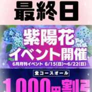 ヒメ日記 2025/06/22 15:10 投稿 熟女 かすみ ハナミズキ