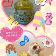 ヒメ日記 2025/06/24 03:12 投稿 熟女 かすみ ハナミズキ