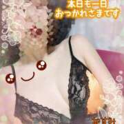 ヒメ日記 2025/06/26 22:18 投稿 熟女 かすみ ハナミズキ