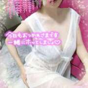 ヒメ日記 2025/06/27 12:58 投稿 熟女 かすみ ハナミズキ