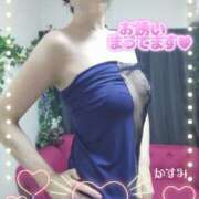 ヒメ日記 2025/07/17 12:48 投稿 熟女 かすみ ハナミズキ