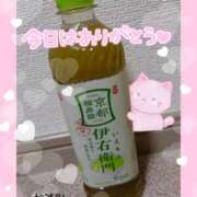 ヒメ日記 2025/07/25 02:00 投稿 熟女 かすみ ハナミズキ