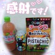 ヒメ日記 2025/07/30 01:16 投稿 熟女 かすみ ハナミズキ