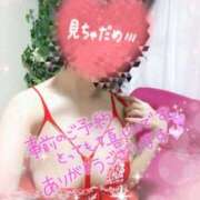 ヒメ日記 2025/08/04 00:12 投稿 熟女 かすみ ハナミズキ