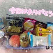 ヒメ日記 2025/08/14 02:12 投稿 熟女 かすみ ハナミズキ