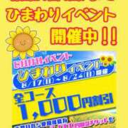 ヒメ日記 2025/08/23 22:22 投稿 熟女 かすみ ハナミズキ