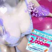 ヒメ日記 2025/09/14 17:56 投稿 熟女 かすみ ハナミズキ