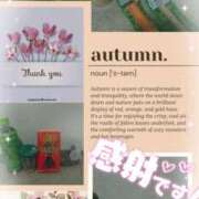 ヒメ日記 2025/09/16 00:58 投稿 熟女 かすみ ハナミズキ