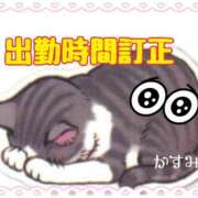 ヒメ日記 2025/09/21 15:58 投稿 熟女 かすみ ハナミズキ