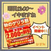 ヒメ日記 2025/10/11 14:56 投稿 熟女 かすみ ハナミズキ