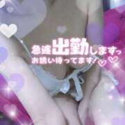 ヒメ日記 2025/10/23 12:52 投稿 熟女 かすみ ハナミズキ