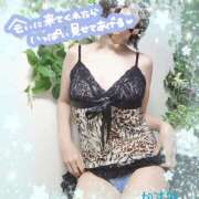 ヒメ日記 2025/10/30 13:02 投稿 熟女 かすみ ハナミズキ