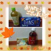 ヒメ日記 2025/11/07 05:32 投稿 熟女 かすみ ハナミズキ