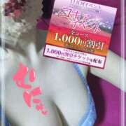 ヒメ日記 2025/11/11 12:34 投稿 熟女 かすみ ハナミズキ