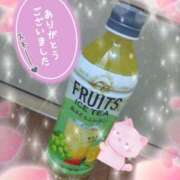 ヒメ日記 2025/11/12 01:34 投稿 熟女 かすみ ハナミズキ