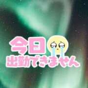 ヒメ日記 2025/11/13 13:06 投稿 熟女 かすみ ハナミズキ