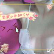 ヒメ日記 2025/11/15 10:28 投稿 熟女 かすみ ハナミズキ