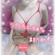 ヒメ日記 2025/11/21 12:42 投稿 熟女 かすみ ハナミズキ