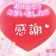 ヒメ日記 2025/11/22 02:24 投稿 熟女 かすみ ハナミズキ