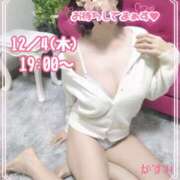 ヒメ日記 2025/12/03 12:26 投稿 熟女 かすみ ハナミズキ