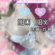 熟女 かすみ 出勤日変更 ハナミズキ