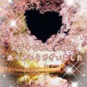 ヒメ日記 2026/02/21 01:56 投稿 熟女 かすみ ハナミズキ