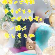 ヒメ日記 2026/03/04 22:38 投稿 熟女 かすみ ハナミズキ