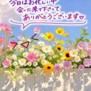 ヒメ日記 2026/03/12 01:22 投稿 熟女 かすみ ハナミズキ