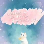 ヒメ日記 2026/03/17 02:30 投稿 熟女 かすみ ハナミズキ