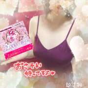 ヒメ日記 2026/03/22 09:50 投稿 熟女 かすみ ハナミズキ
