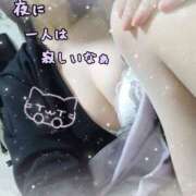 ヒメ日記 2026/04/20 12:22 投稿 熟女 かすみ ハナミズキ