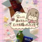 ヒメ日記 2026/05/12 03:16 投稿 熟女 かすみ ハナミズキ