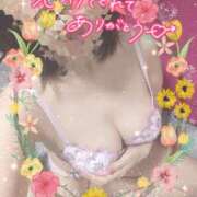 ヒメ日記 2026/05/14 12:28 投稿 熟女 かすみ ハナミズキ